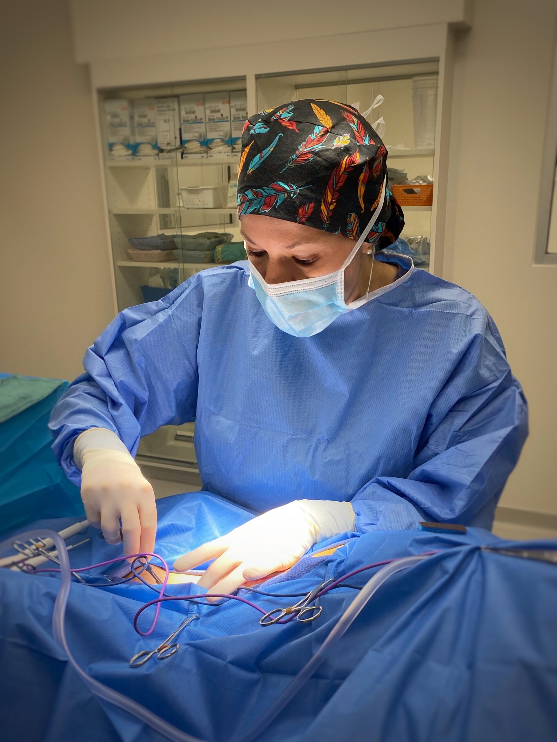 Dr. Prpich - Surgical Oncology - Summit Veterinary Specialty Center Northern Colorado