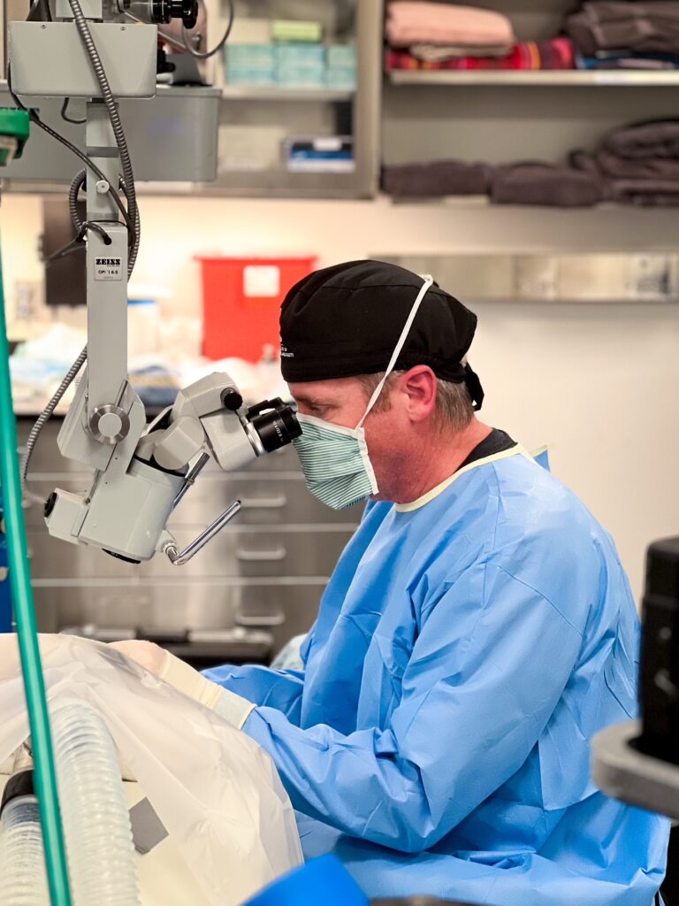 Dr. Arnold - Ophthalmology - Summit Veterinary Specialty Center Northern Colorado