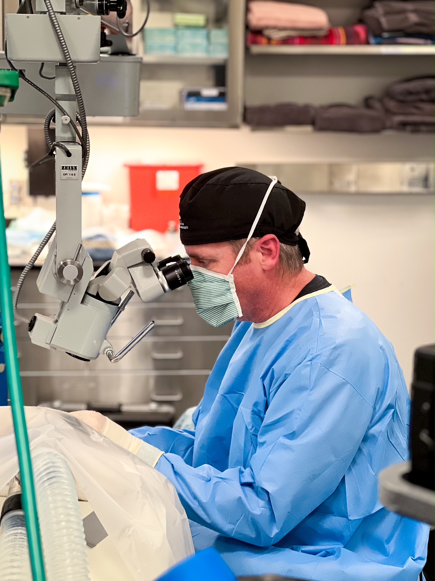 Veterinary ophthalmology exam