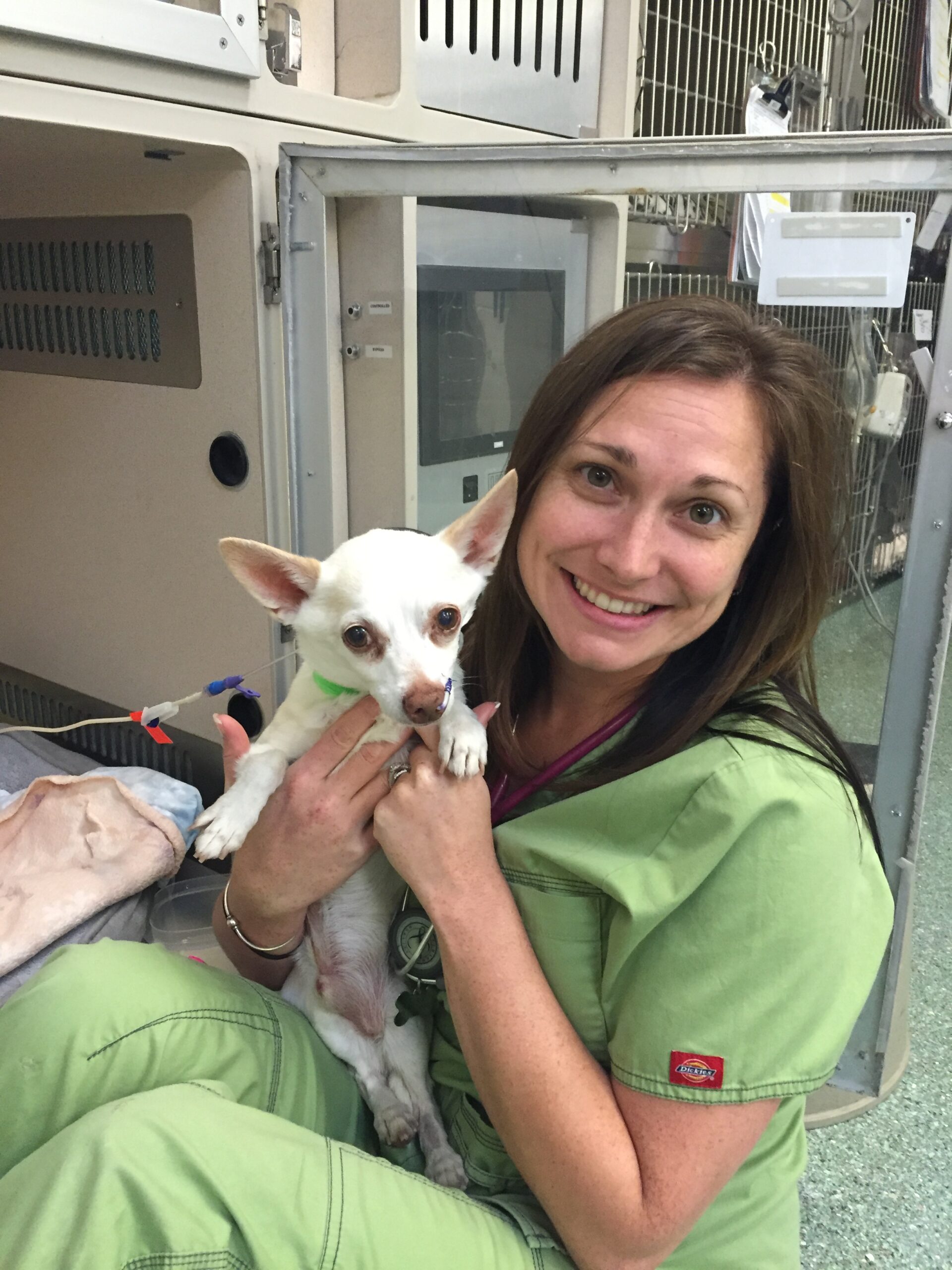 Dr. Tzipory - Critical Care - Summit Veterinary Specialty Center Northern Colorado